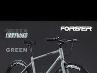 公路自行车 适合160cm以上骑 500出 配件都送你 买回来只骑了几次