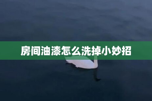 房间油漆怎么洗掉小妙招