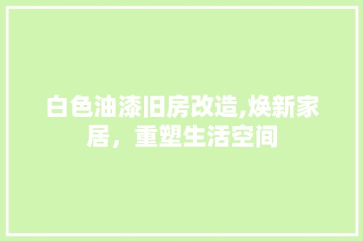 白色油漆旧房改造,焕新家居，重塑生活空间