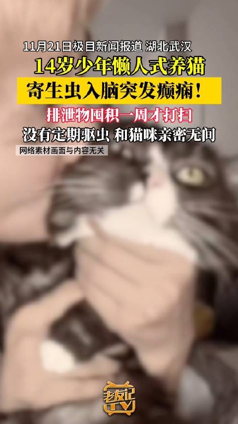 14岁男孩养猫忽视清洁驱虫致突发癫痫