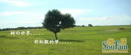植树节 家居 建材 环保