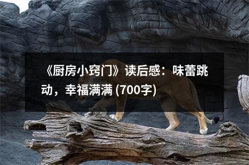 《厨房小窍门》读后感：味蕾跳动，幸福满满 (700字)