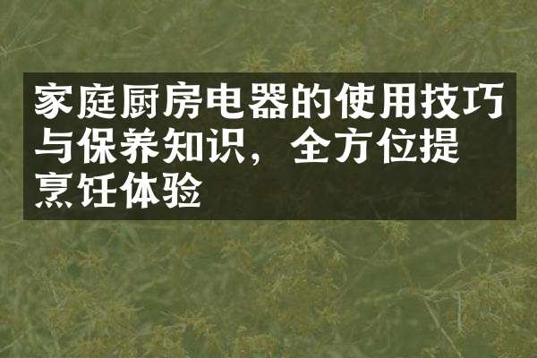 家庭厨房电器的使用技巧与保养知识，全方位提升烹饪体验