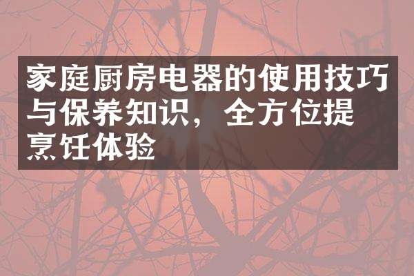 家庭厨房电器的使用技巧与保养知识，全方位提升烹饪体验