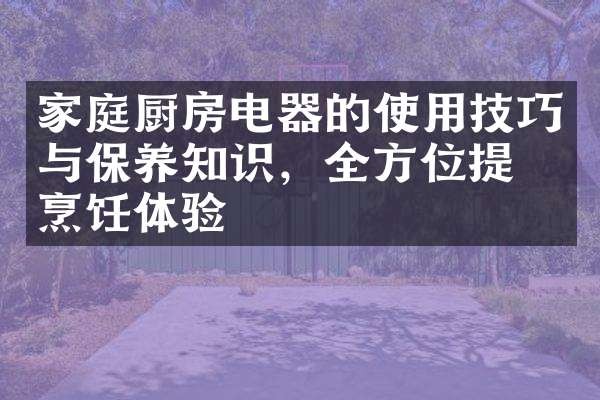 家庭厨房电器的使用技巧与保养知识，全方位提升烹饪体验