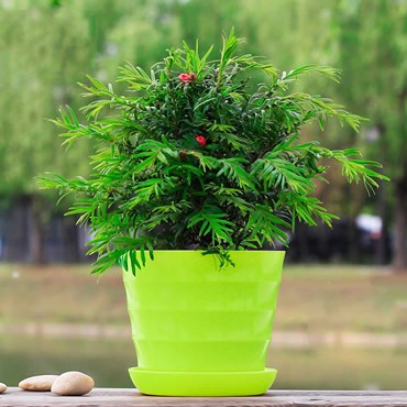 家居环保装修的9大技巧