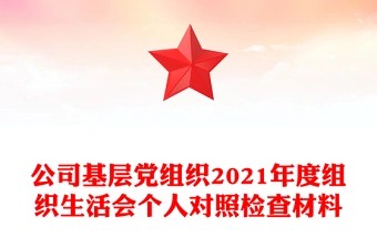 公司基层党组织2021年度组织生活会个人对照检查材料