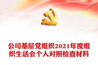 公司基层党组织2021年度组织生活会个人对照检查材料