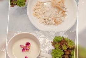 养颜七白饮