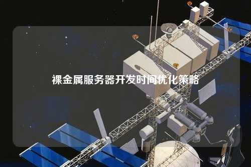 裸金属服务器开发时间优化策略