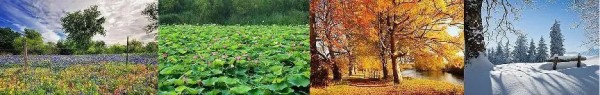 二十四节气元素在服饰品上的创新与应用