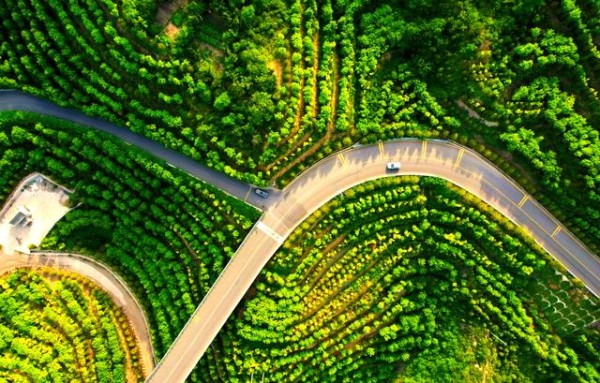驾驶技巧提升燃油效率：深入探秘ECO模式和其他技巧-有驾