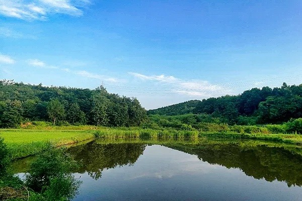国家生态质量综合监测站——山东黄河三角洲站（湿地）正式揭牌