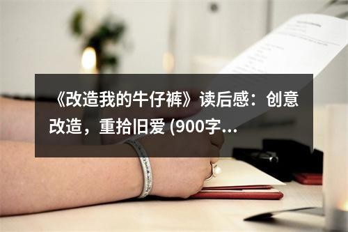 《改造我的牛仔裤》读后感：创意改造，重拾旧爱 (900字)