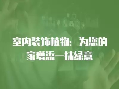室内装饰植物：为您的家增添一抹绿意