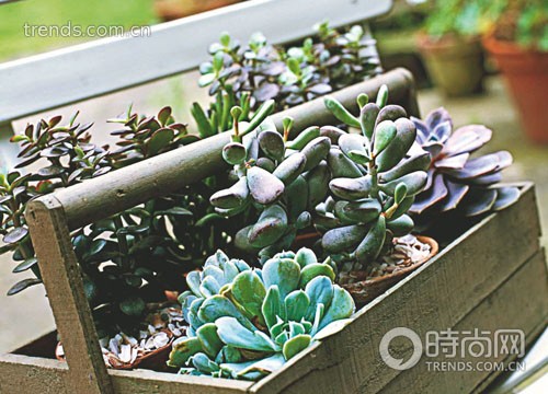 家居里的新奇小物装饰2