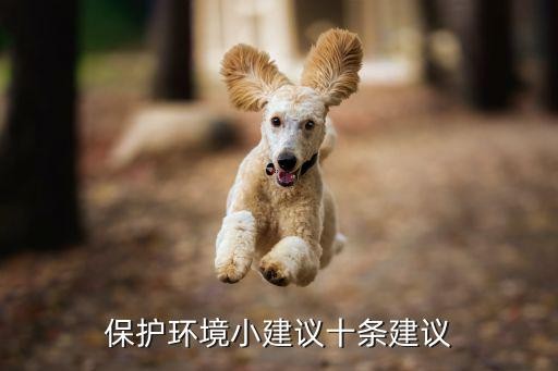 保护环境小建议十条建议