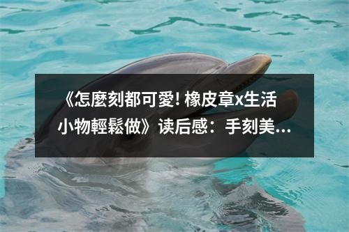 《怎麼刻都可愛! 橡皮章x生活小物輕鬆做》读后感：手刻美好时光 (700字)