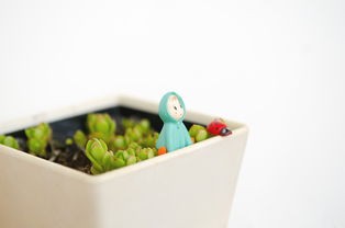 品牌水杯卡通，创意无限，趣味盎然的生活小物