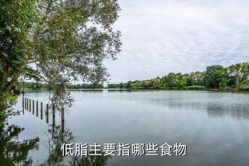 低脂主要指哪些食物