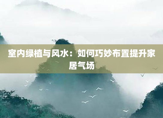 室内绿植与风水:如何巧妙布置提升家居气场