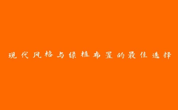 现代风格与绿植布置的最佳选择