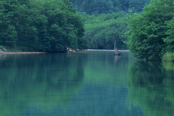成都市车辆回收补贴 成都市废旧汽车回收公司？-第3张图片-户籍无忧
