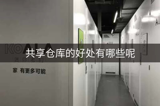 共享仓库的好处有哪些呢，共享仓库的概念