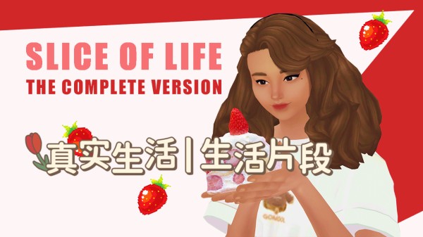 真实生活 生活片段｜Slice of Life汉化