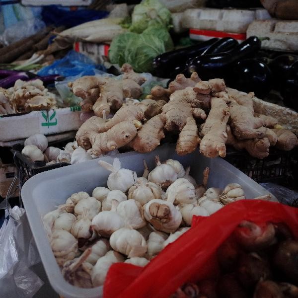 没有菜板拿什么代替