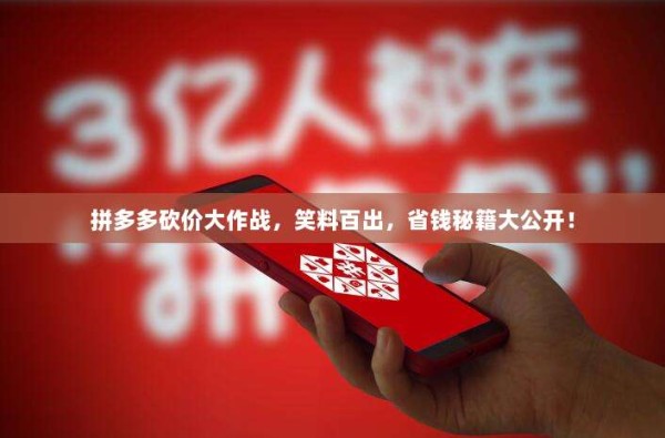 拼多多砍价大作战,笑料百出,省钱秘籍大公开!-第1张图片-拼多多助力