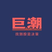 巨潮WAVE