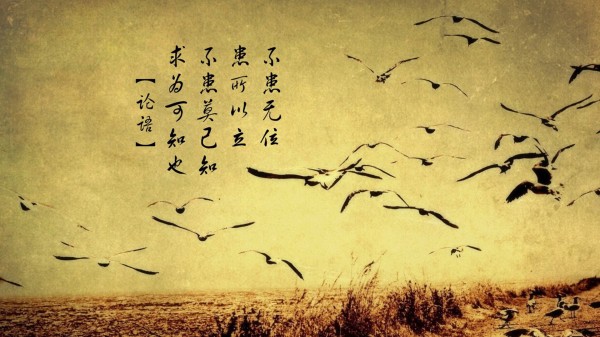 花呗逾期，对你的还款压力和生活影响