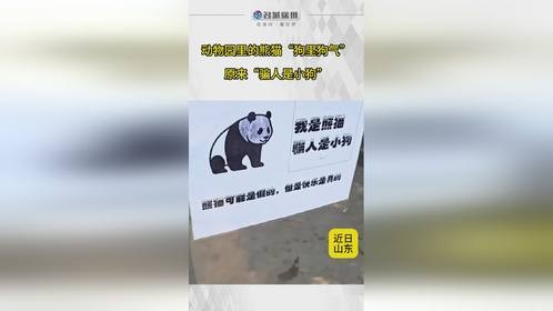 骗人是小狗