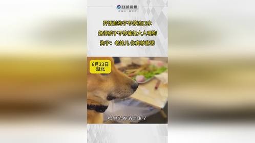 老妹儿 你真够意思