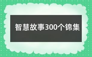 智慧故事300个锦集