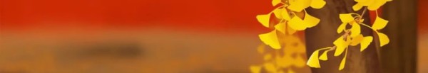 8121599815130785