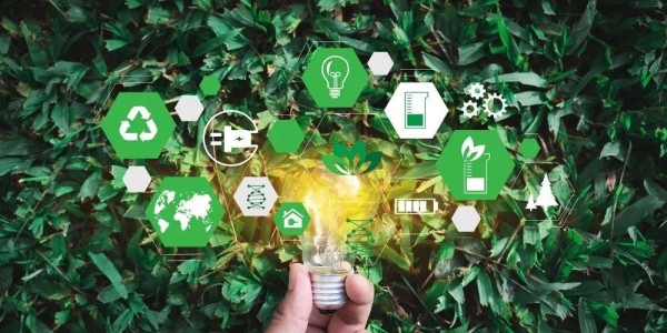 实用技巧：‍ 向可持续的植物生活方式过渡