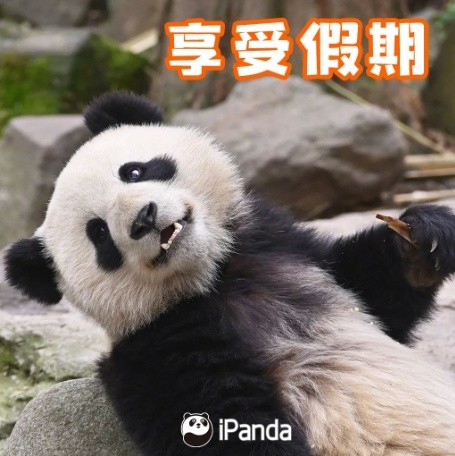 专家建议：节后上班第一天少干活儿