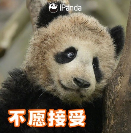 专家建议：节后上班第一天少干活儿