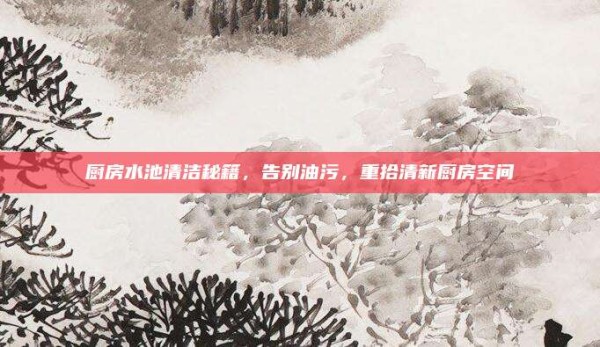 厨房水池清洁秘籍,告别油污,重拾清新厨房空间