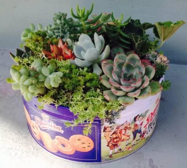 春节吃完的零食盒子旧物改造，你就是一个生活艺术家