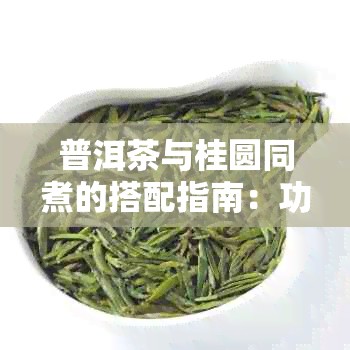 普洱茶与桂圆同煮的搭配指南：功效、禁忌与烹饪方法全解析