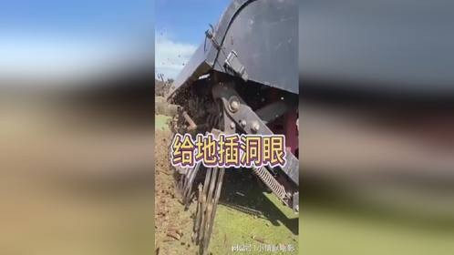 看着地上的洞眼，也不知道这是什么情况啊