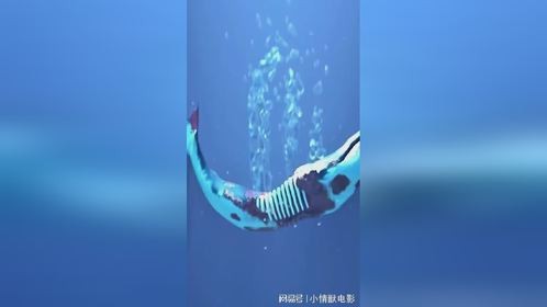 为什么说“一鲸落，万物生”？
