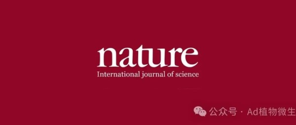 背靠背发表《Nature》《Science》，北京大学“长江学者”团队在《Nature》“梅开二度”，最新成果“拆解”全球难题