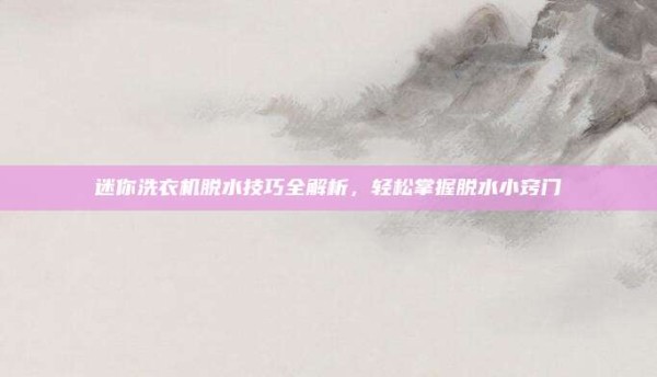 迷你洗衣机脱水技巧全解析,轻松掌握脱水小窍门