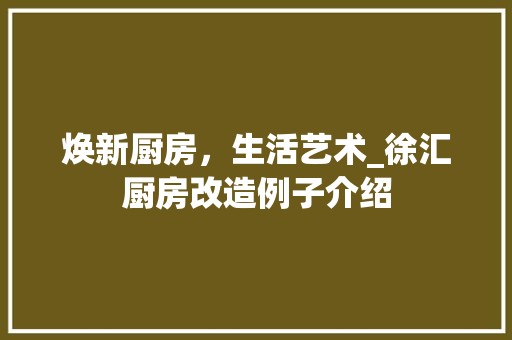 焕新厨房，生活艺术_徐汇厨房改造例子介绍