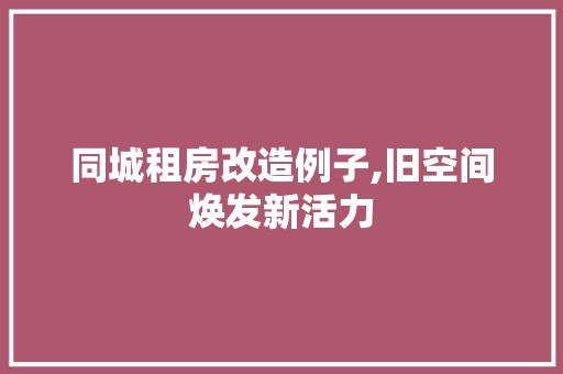 同城租房改造例子,旧空间焕发新活力
