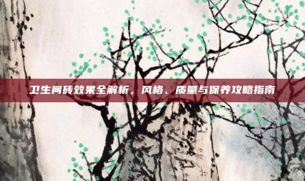 卫生间砖效果全解析,风格、质量与保养攻略指南